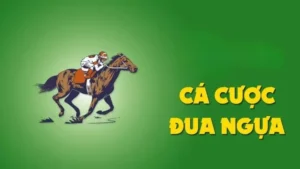Tìm Hiểu Cá Cược Đua Ngựa GO88 Với Luật Chơi Cụ Thể Và Mẹo Chọn Cửa Hiệu Quả