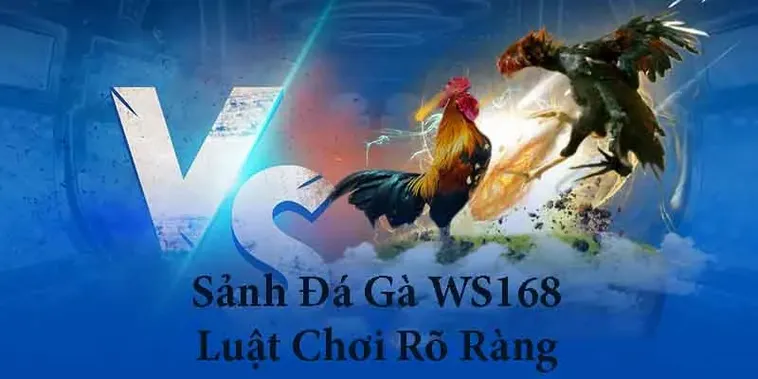 Cách Chơi Đá Gà WS168 Tại GO88 Với Mẹo Chọn Cửa An Toàn Dễ Hiểu Cho Người Mới