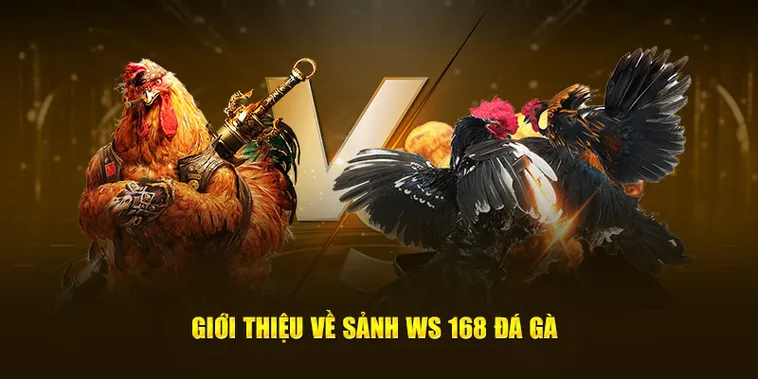 Cách Chơi Đá Gà WS168 Tại GO88 Với Mẹo Chọn Cửa An Toàn Dễ Hiểu Cho Người Mới
