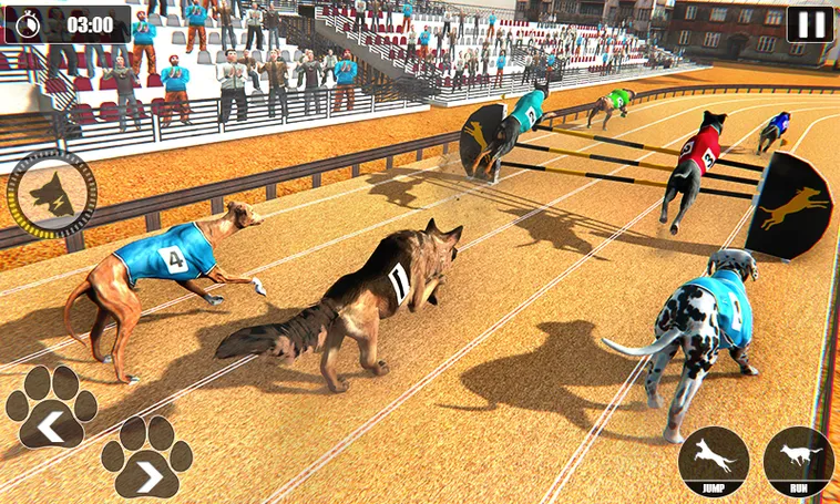 Cách Chơi Game Nhanh Đua Chó GO88 Chi Tiết Mẹo Chọn Kèo Hiệu Quả